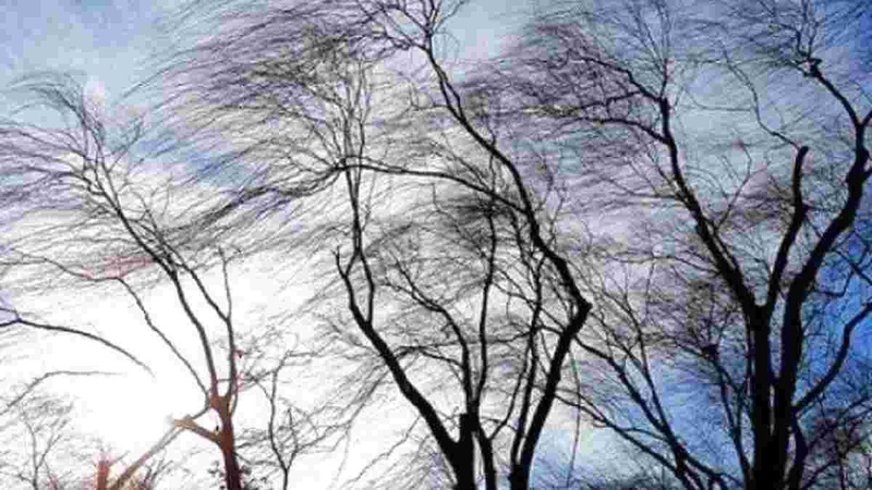 Волинські синоптики спрогнозували погоду на вихідні, 15-16 січня