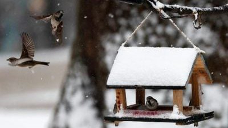 Яка погода очікується завтра, 28 грудня