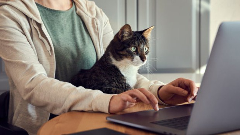 Бухгалтер, гірник, тістороб: на Волині людей кличуть на роботу