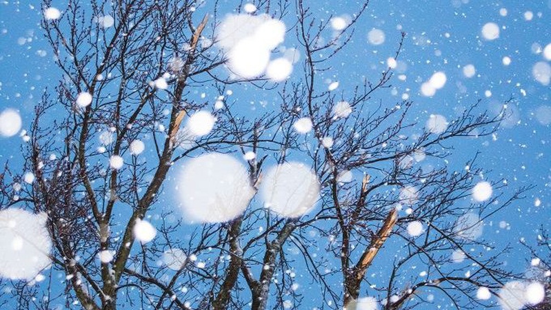 Що прогнозують волинські синоптики на четвер, 6 січня
