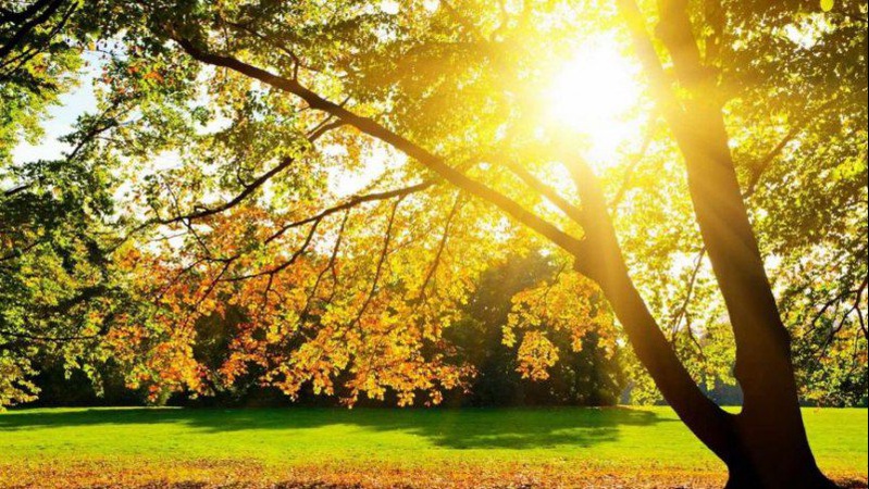 Тепло, але місцями дощитиме: прогноз погоди на 17 вересня