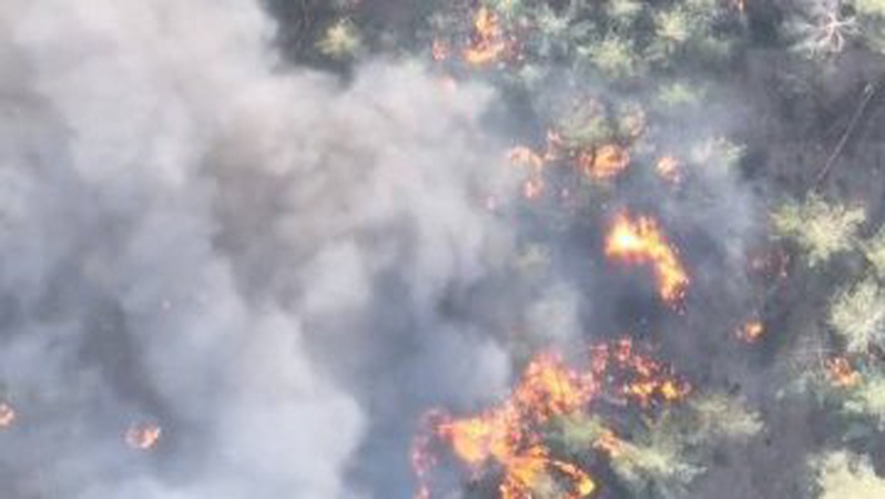 Волинські тероборонівці знищили на Сході ворожу БМД