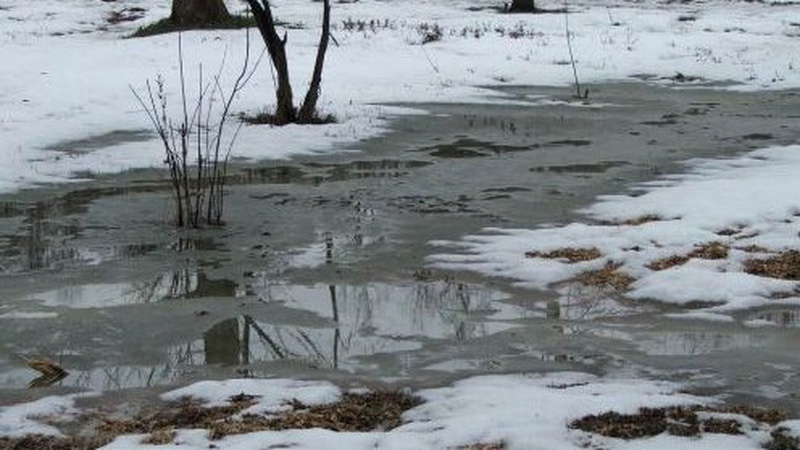 Яка погода очікується завтра, 11 лютого