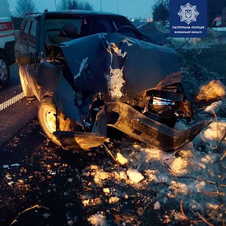 Водій заснув за кермом: у Піддубцях авто влетіло у дерево