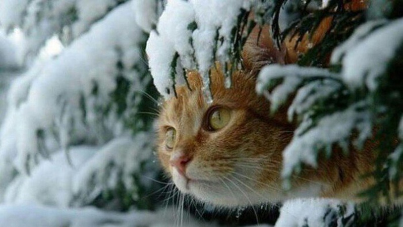 9 грудня: яке сьогодні свято, традиції та заборони