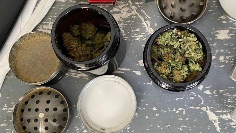 На волинській митниці пес Барні «винюхав» в італійця наркотики