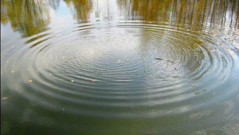 На Волині у приватній водоймі виявили тіло чоловіка