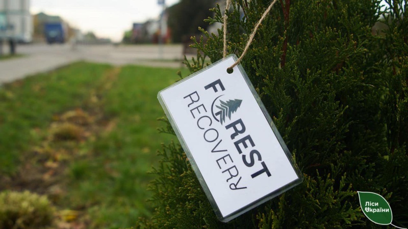 Громада на Волині передала під охорону держави більше 500 га земель