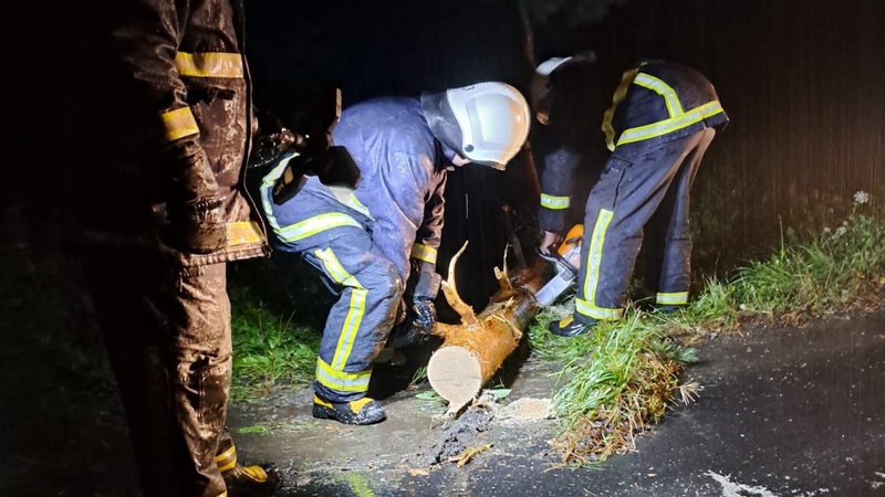 Дерево перекрило рух транспорту: волинські рятувальники розчистили дорогу