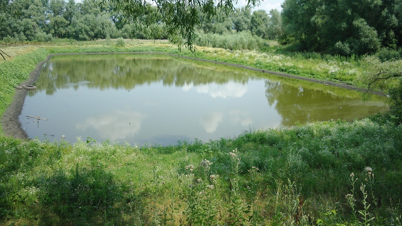 Судитимуть волинянина, який незаконно викопав ставок