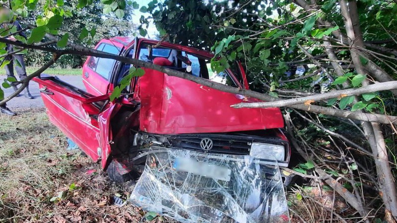 На Волині на швидкості злетів з дороги і врізався в дерево легковик. ФОТО