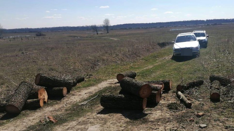У Луцькому районі зловили 19-річного крадія лісу