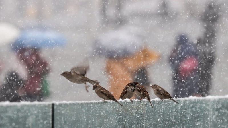 На Волині погіршиться погода
