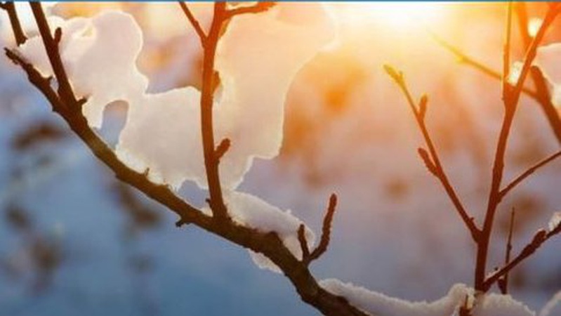 Прогноз погоди на Волині на 26 січня