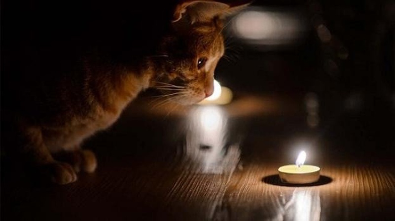 У селі Луцького району весь день не буде світла