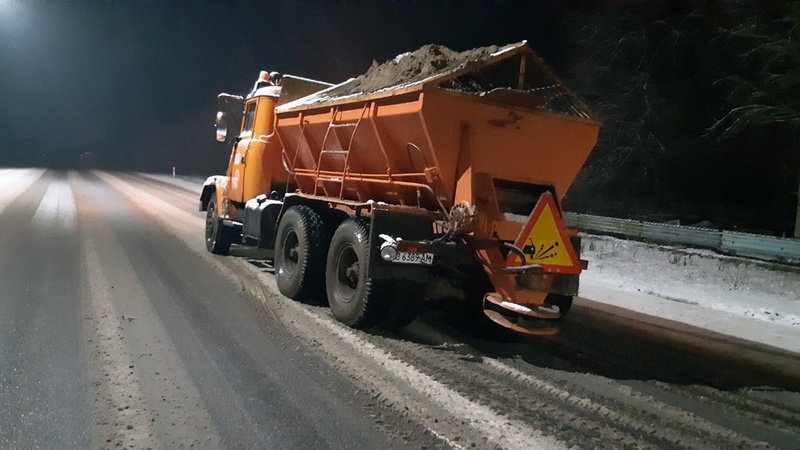 Шкодить рослинам, тваринам і людям: чому сіль на дорогах взимку небезпечна. ВІДЕО