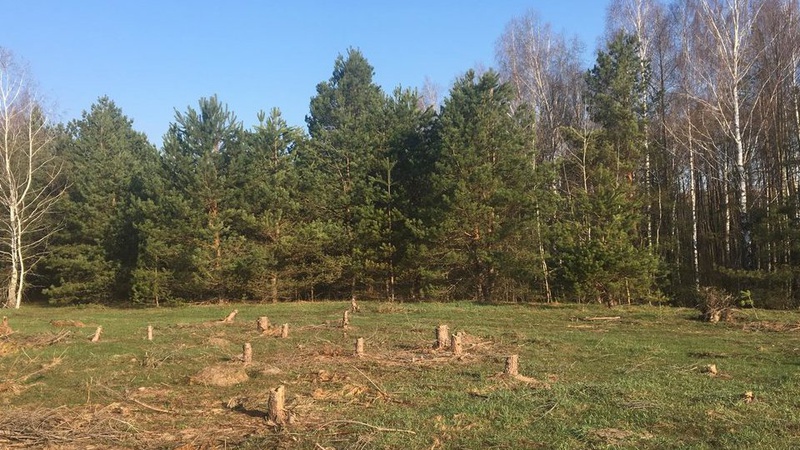 На Волині земельну ділянку вартістю 41 мільйон повернуто у державну власність