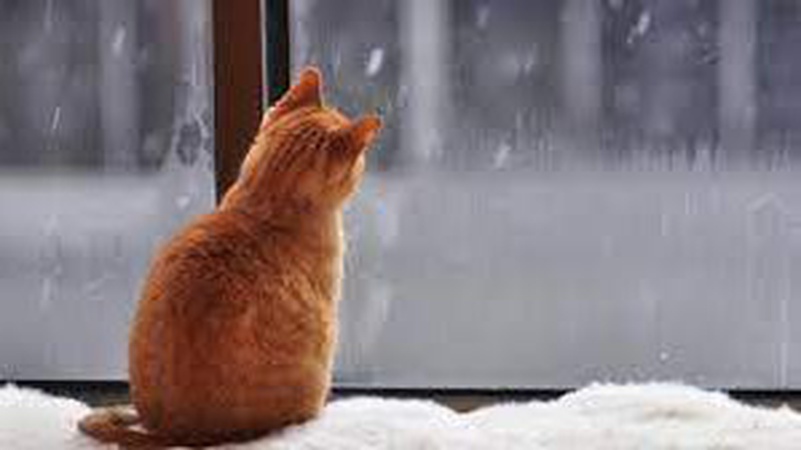 В Україну йде похолодання зі снігом