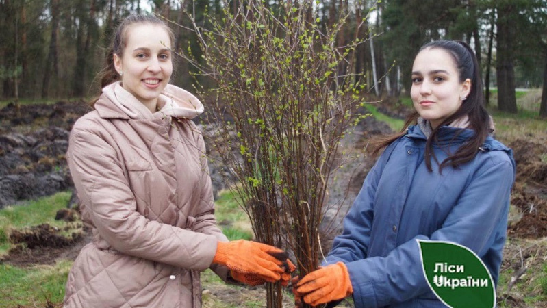 На Волині переселенці висадили ліс