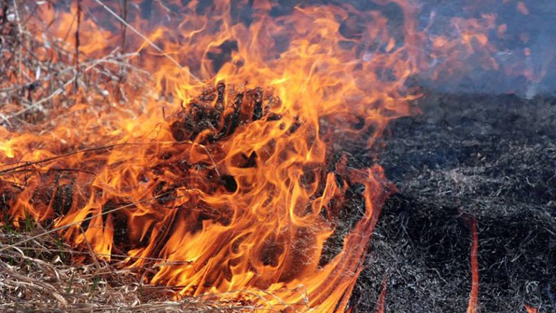 Волинянку оштрафували за підпал сухої трави