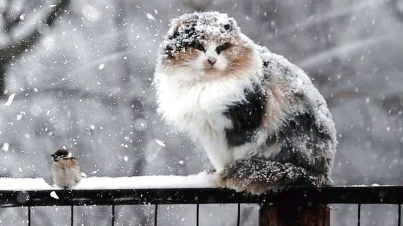 Волинян попереджають про складні погодні умови