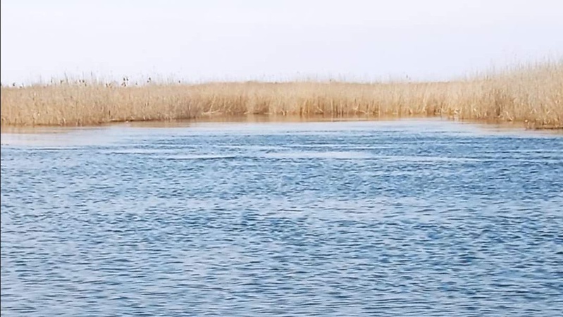 За тиждень державні інспектори Волинського рибпатруля викрили 15 порушень рибальства