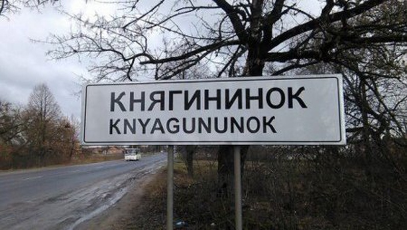 У селі біля Луцька автобус на трасі збив двох дітей