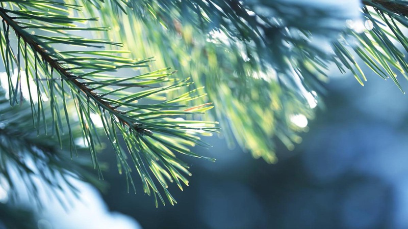 Що прогнозують волинські синоптики у вихідні, 12 лютого