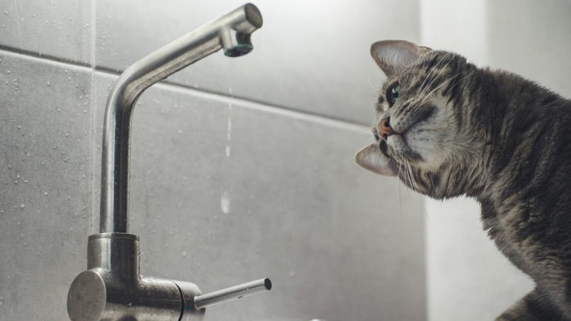 Аварійний порив: у Луцьку кілька районів залишаться без води