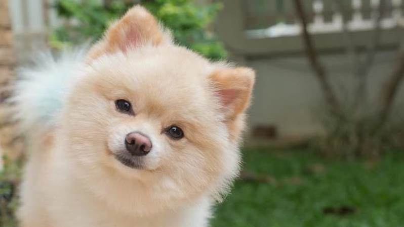 Мінлива хмарність і незначне похолодання: прогноз погоди на 7 вересня