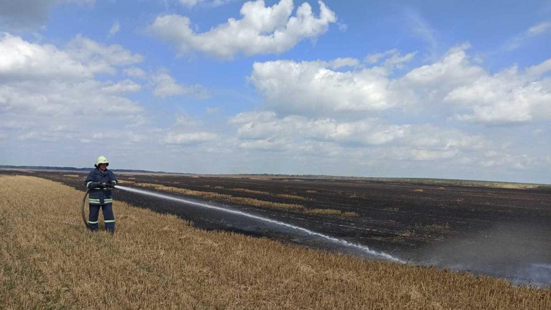 У громаді на Волині спіймали палія стерні