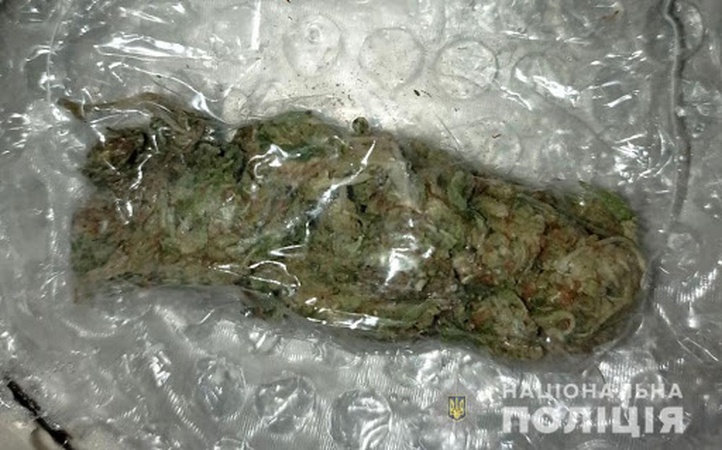 Волинянин, який зберігав удома майже 100 грамів канабісу, сяде на понад чотири роки