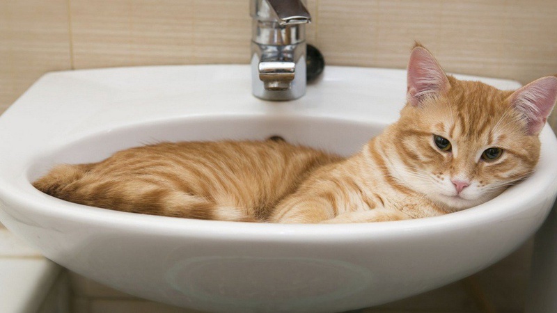 У деяких будинках в Нововолинську не буде води