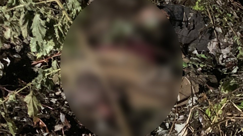 Труп заховали в кущі: у Луцькому районі жорстоко вбили чоловіка. ФОТО