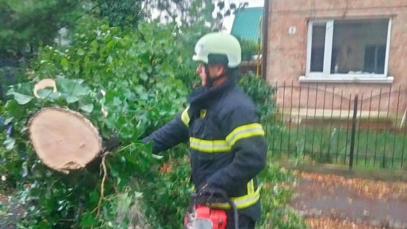 У Луцьку негода повалила дерево на припарковане авто. ФОТО