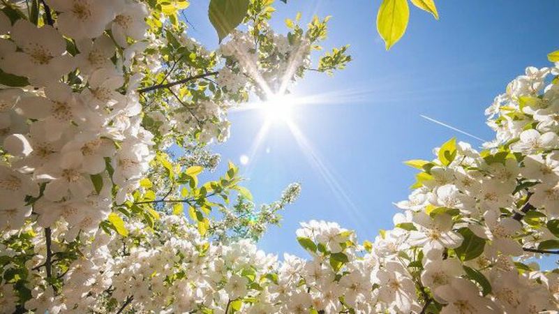 У найближчі три доби на Волині очікується суха і тепла погода