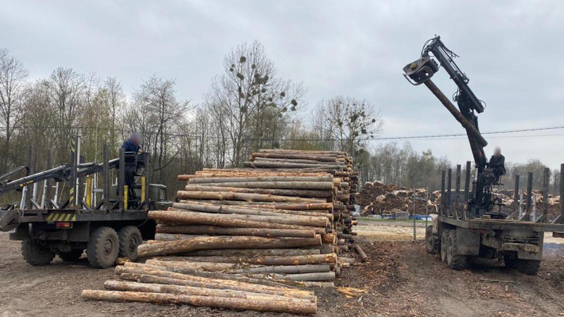 На деревопереробному підприємстві Волині – масштабні обшуки