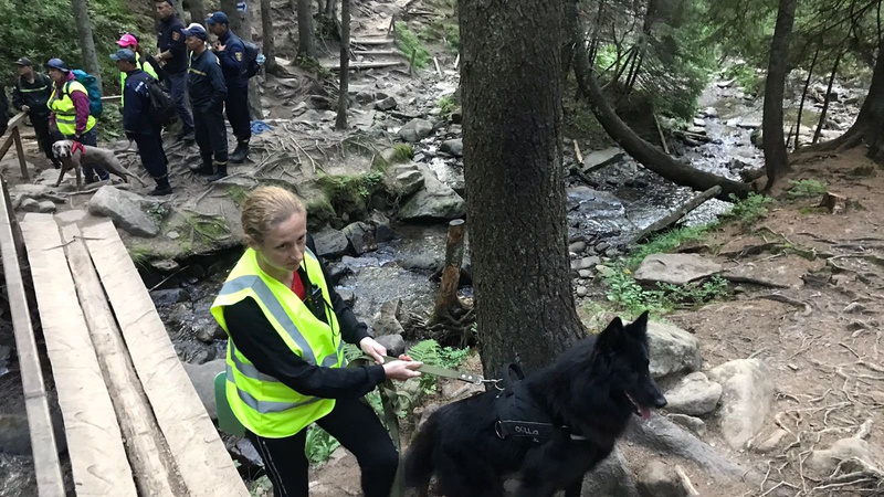 На Говерлі шукають 6-річного хлопчика
