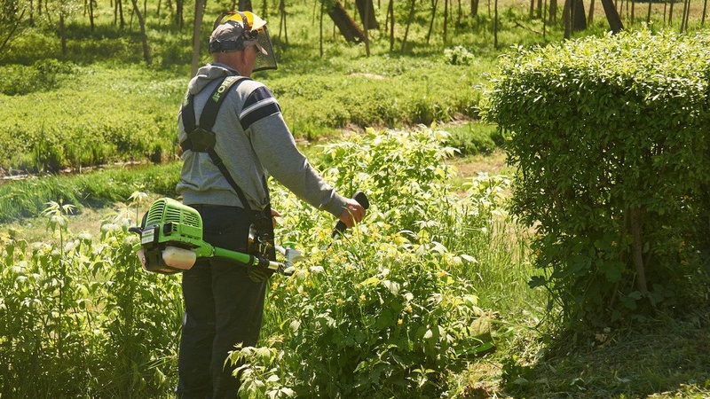 Луцький мер нагримав на директора підприємства через нескошену траву у парку