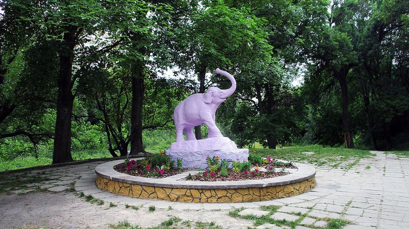 У Луцьку облаштують ботанічні сади