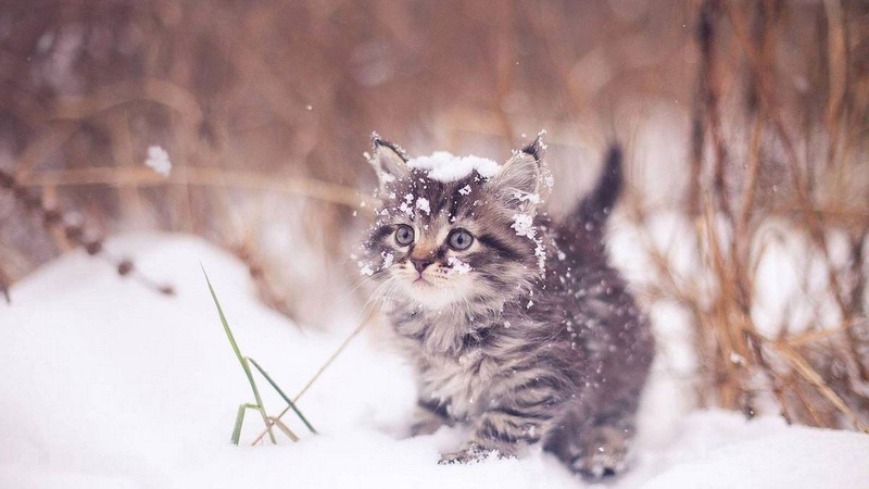 Погода в Україні на вівторок 6 грудня