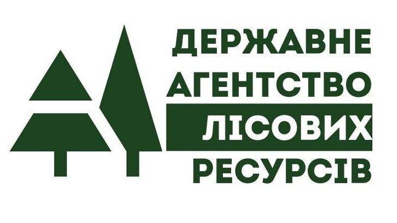 Волиняни вдруге не змогли зайняти керівні посади в Держлісагентстві України