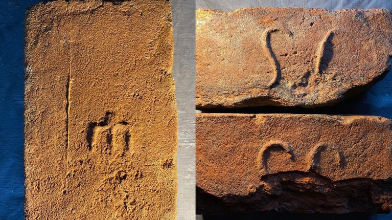 У селі на Волині знайшли перші пам’ятки з маєтку, що належав княжій родині