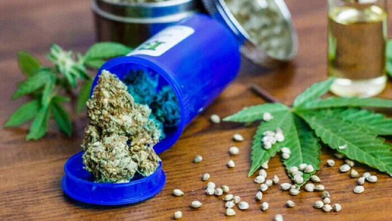 Стало відомо, де в Україні вирощуватимуть медичний канабіс у разі легалізації