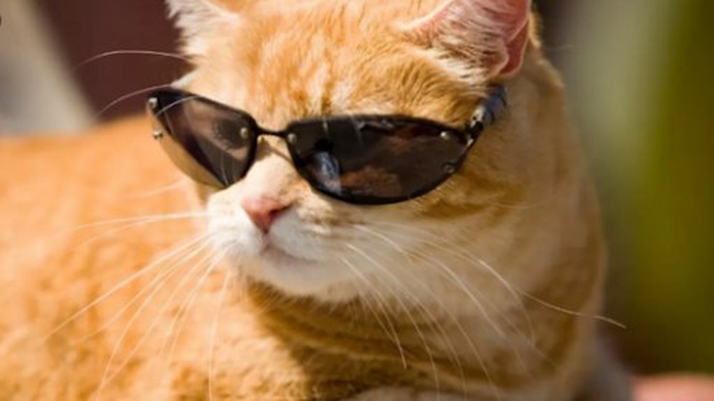 Яка погода очікується завтра, 14 вересня