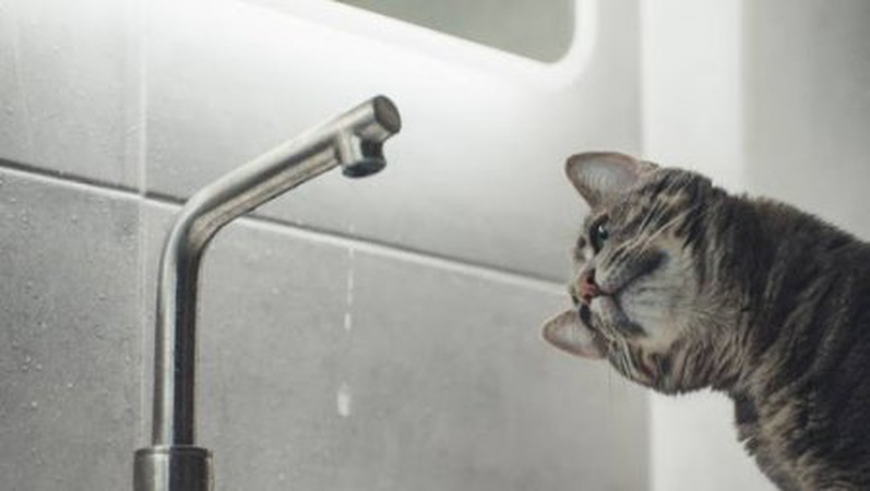 На яких вулицях Луцька припинять постачати гарячу воду