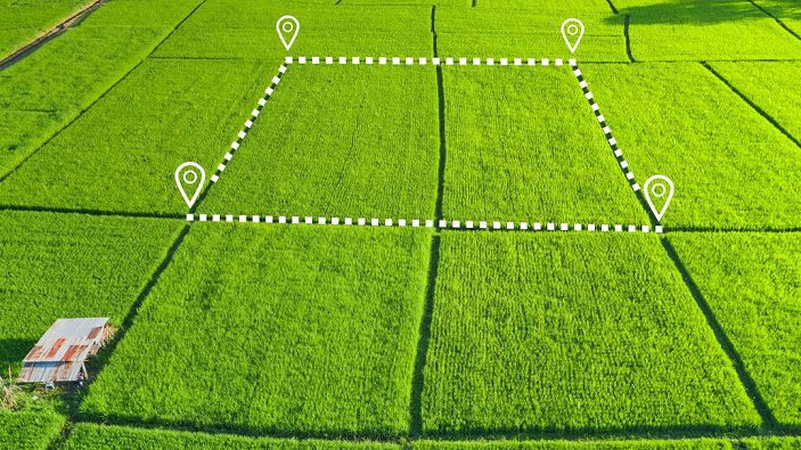 У власність держави повернуть 166 гектарів земель оборони вартістю 2,8 мільярда гривень