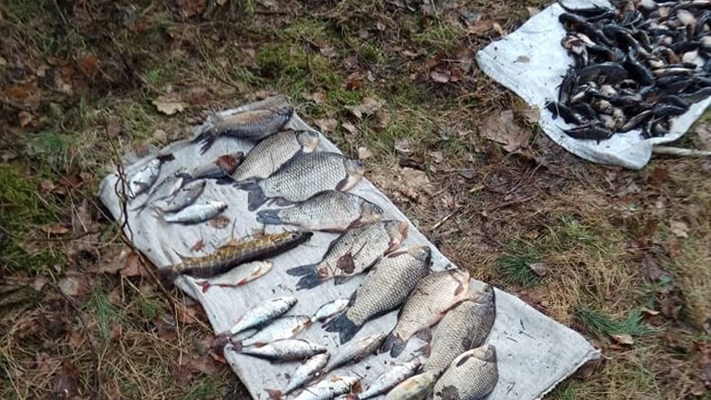 Наловив риби на 120 тисяч грн: на Волині піймали браконьєра