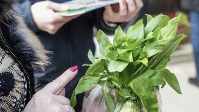 На Волині судитимуть жінку за продаж черемші