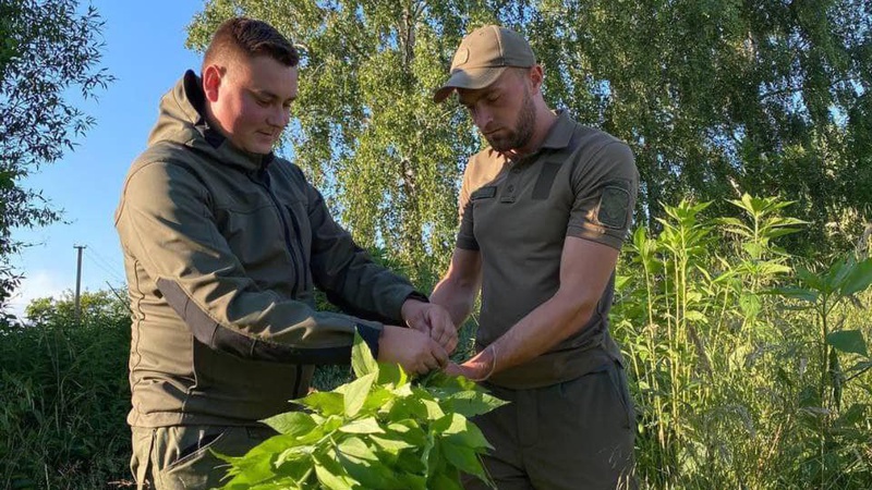 На Волині лісівники з військовими заготовили 8 тисяч кормових віників для тварин